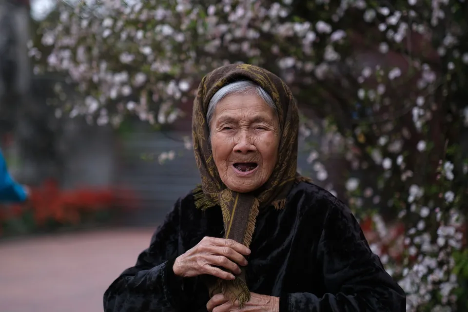 Dự án gần đây